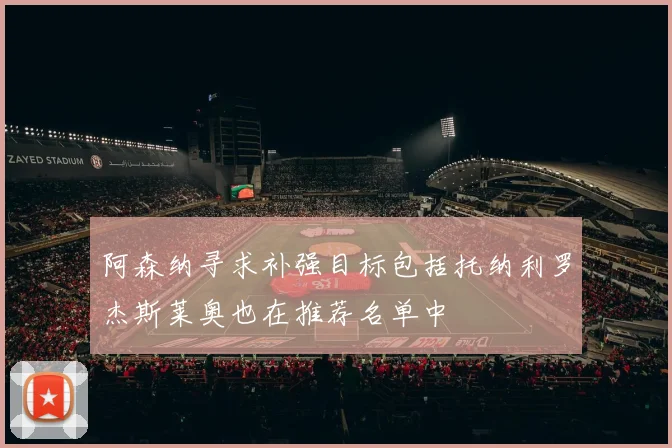 阿森纳寻求补强目标包括托纳利罗杰斯莱奥也在推荐名单中