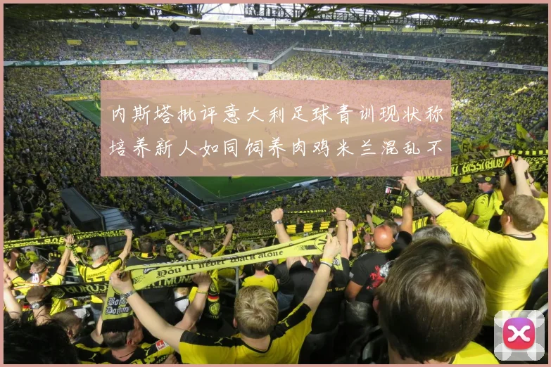 内斯塔批评意大利足球青训现状称培养新人如同饲养肉鸡米兰混乱不堪